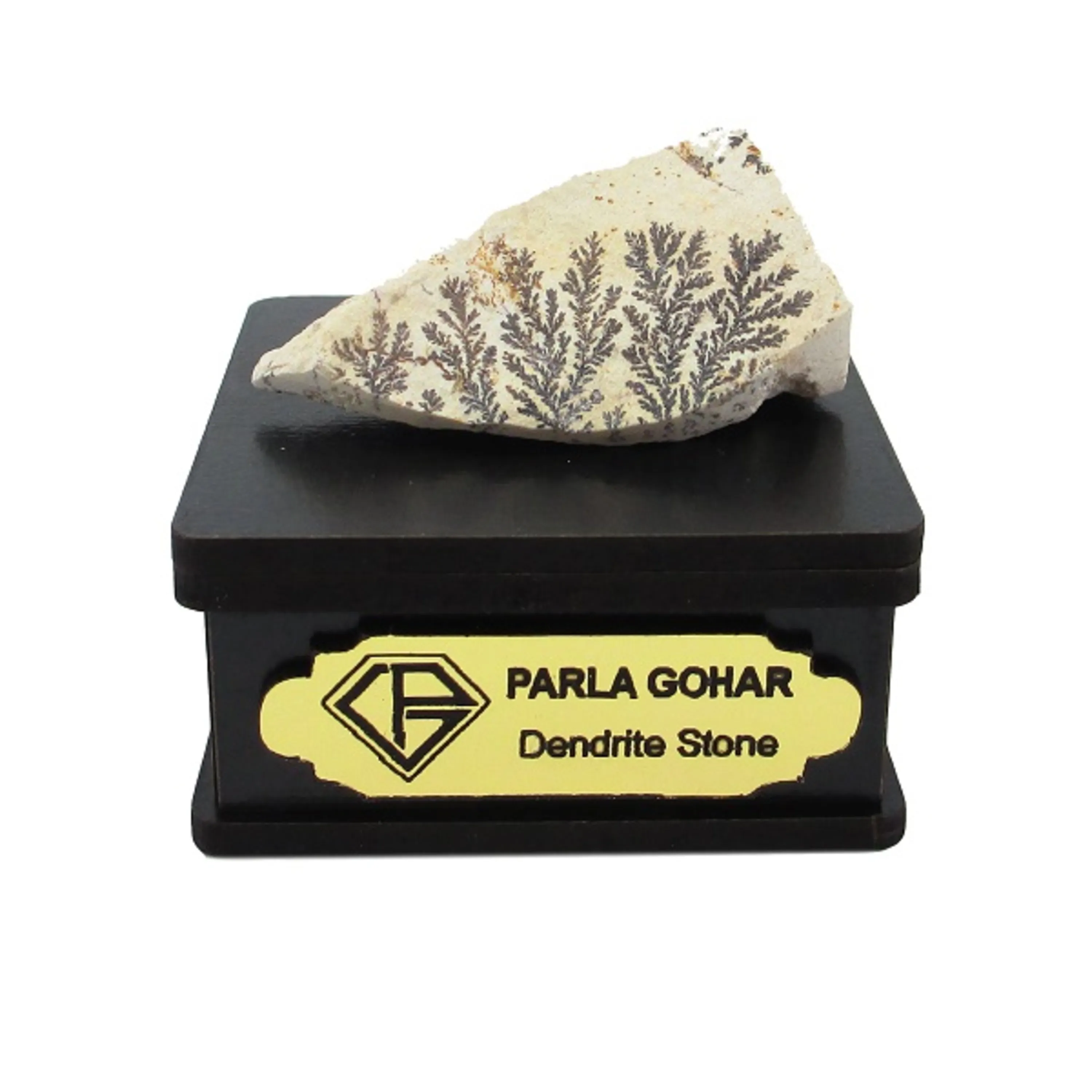 سنگ شجر فسیلی (دندریتی ) کد 2228